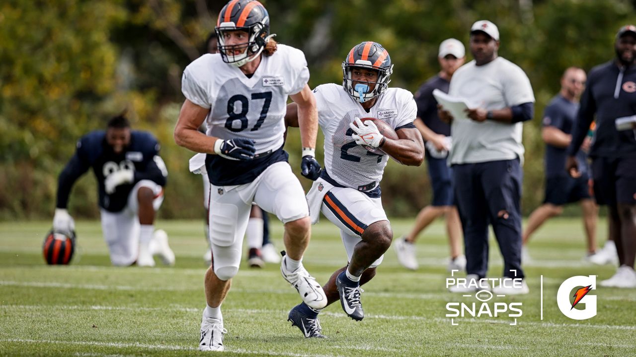 Bears Name Eddie Jackson Honorary Captain for Week 3 vs. Texans - On Tap  Sports Net