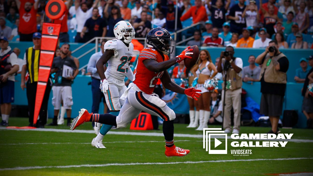 Bears vs. Dolphins: Notes from a pathetic 31-28 overtime loss