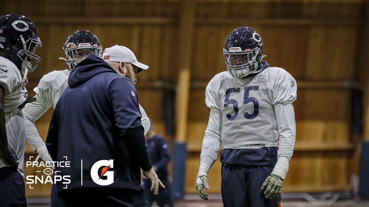 Roquan Smith 'living a dream' and it shows on the field