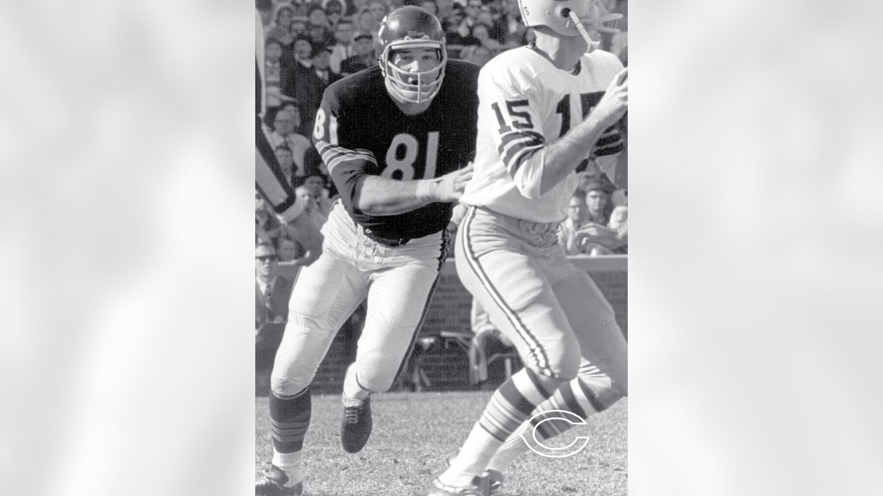 Chicago Bears flashback Jim Covert