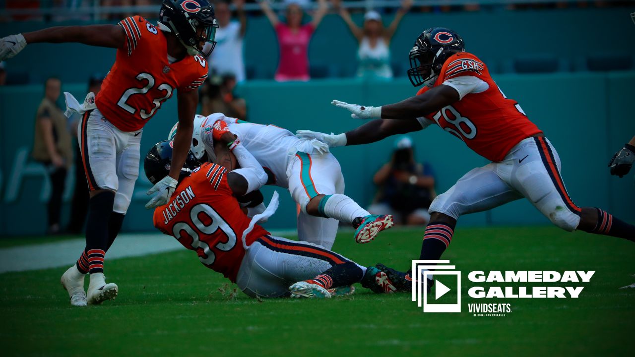 Houtz's House of Highlights  Recap of the Miami Dolphins 20-13 loss to the Chicago  Bears - The Phinsider