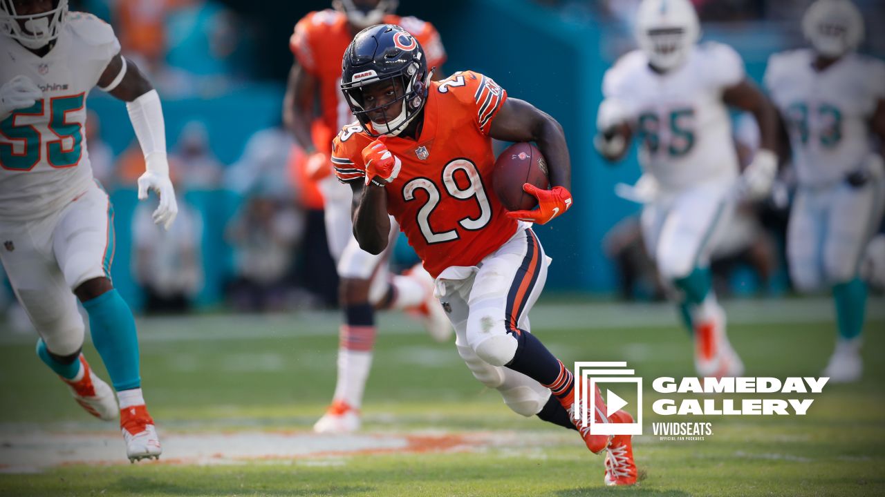 Houtz's House of Highlights  Recap of the Miami Dolphins 20-13 loss to the  Chicago Bears - The Phinsider