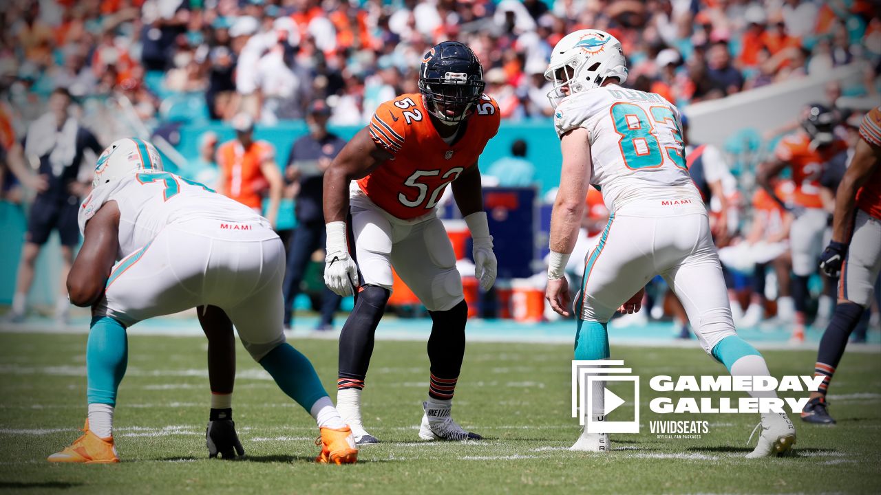 3,295 Miami Dolphins V Chicago Bears Photos & High Res Pictures - Getty  Images