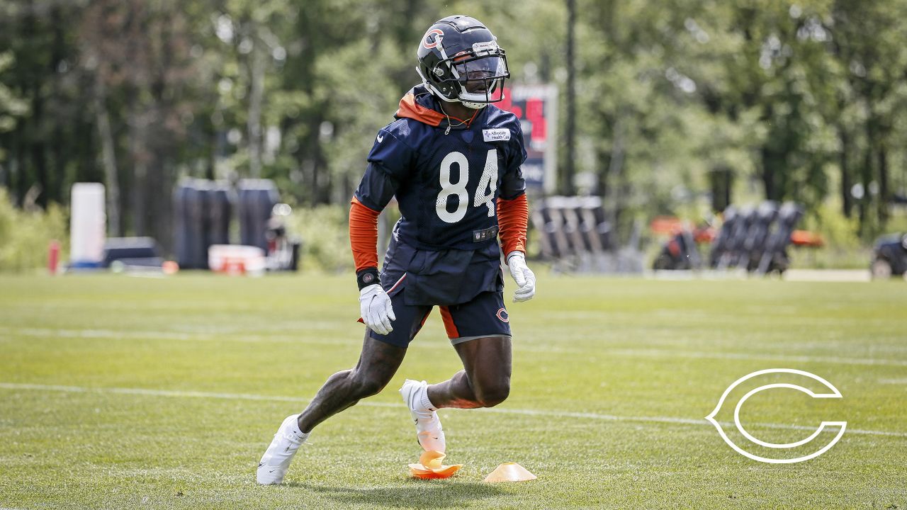 2021 Bears free agent signings in action