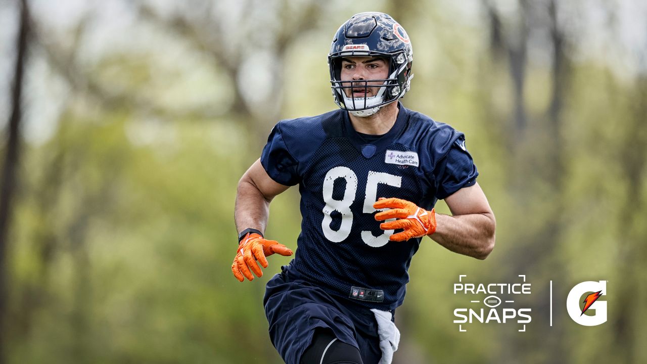 Chicago Bears fullback Khari Blasingame (35) catches a pass during warmups  before an NFL football game in Chicago, Sunday, Nov. 13, 2022. (AP  Photo/Nam Y. Huh Stock Photo - Alamy