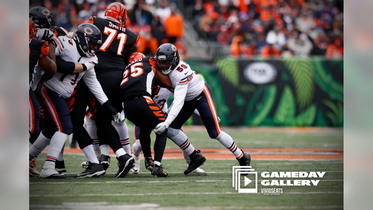 Game Recap: Bears dominate Bengals, win 33-7