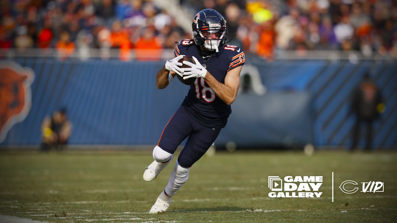 Bears close season with loss to Vikings