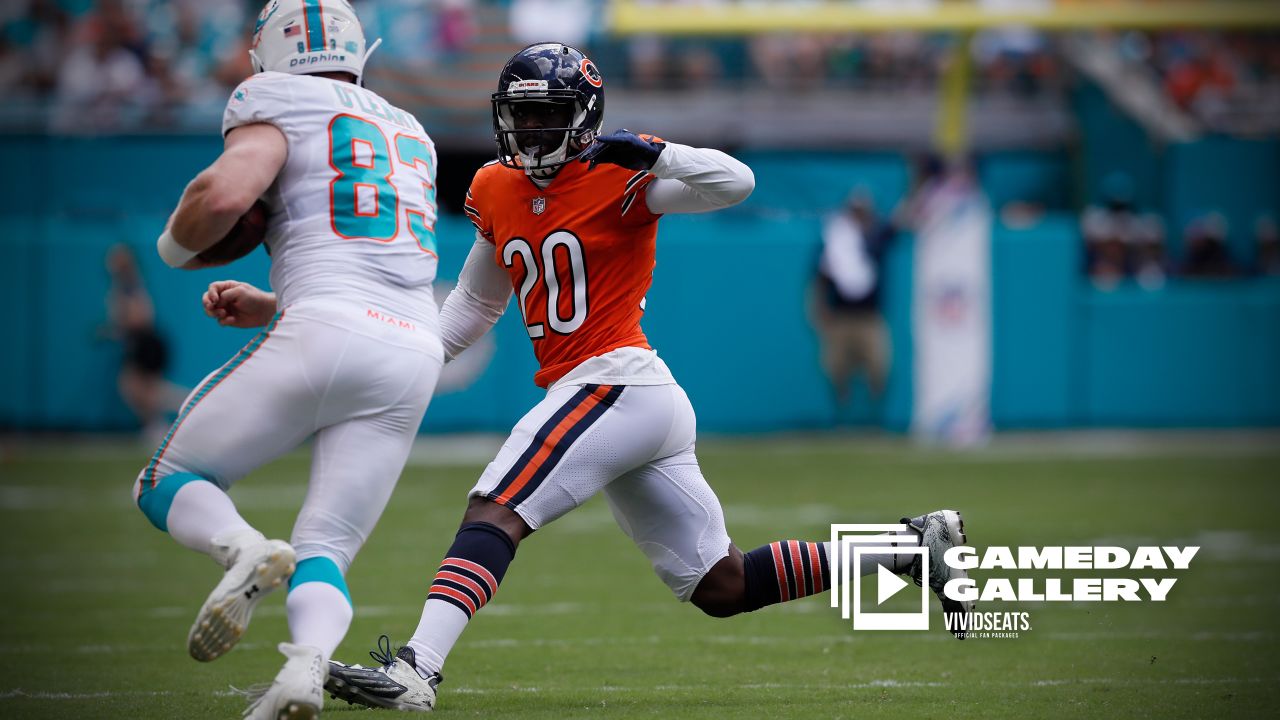 Houtz's House of Highlights  Recap of the Miami Dolphins 20-13 loss to the  Chicago Bears - The Phinsider