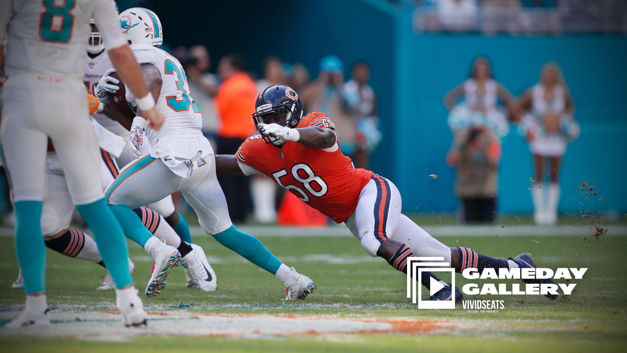 Bears vs. Dolphins: Notes from a pathetic 31-28 overtime loss - Windy City  Gridiron