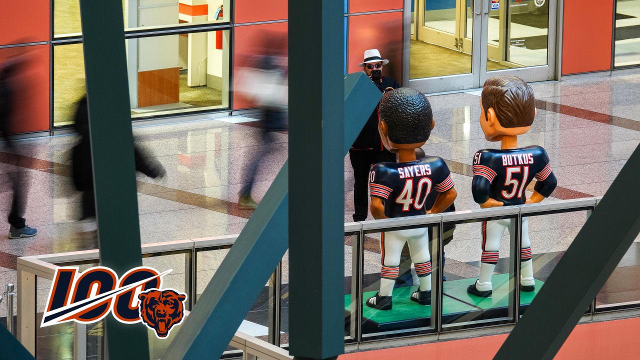 On anniversary of Bears' Super Bowl title, Rockford natives release  bobbleheads