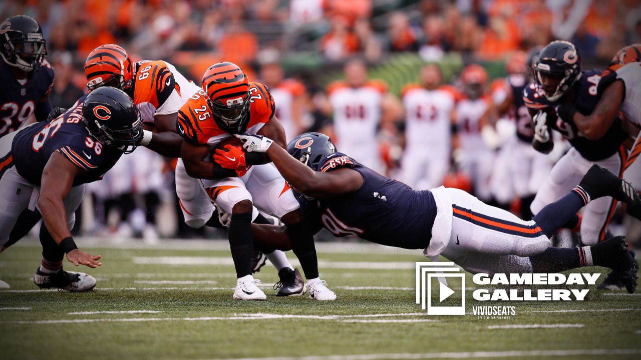 Gameday Gallery: Bears at Bengals