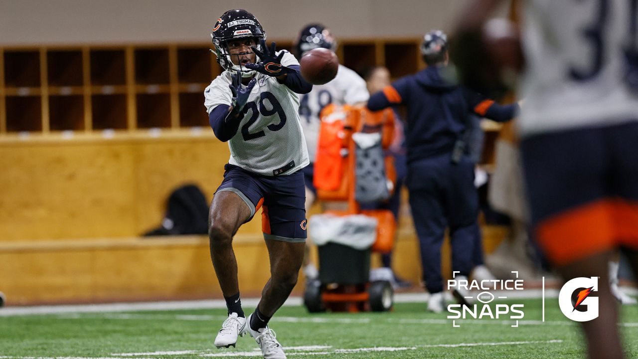 Learning fullback position leads undrafted rookie Jake Tonges to spot on Chicago  Bears' roster – Shaw Local