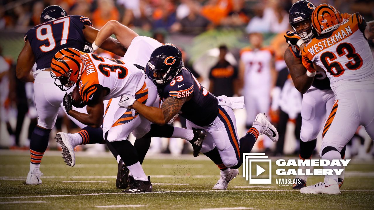 Gameday Gallery: Bears at Bengals