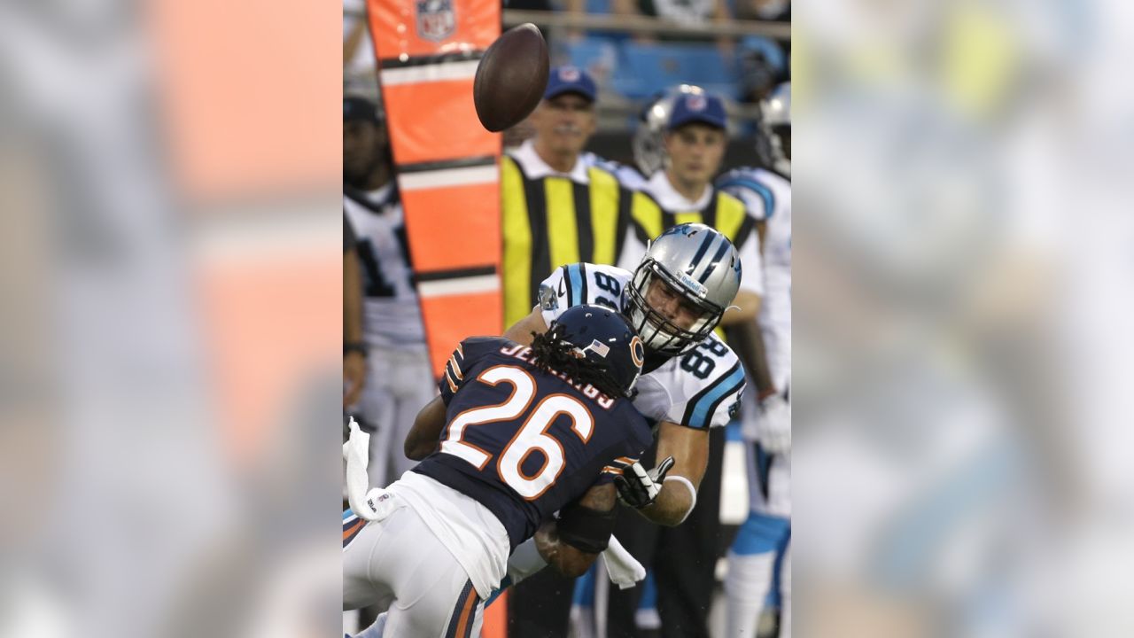 Carolina Panthers Vs. Chicago Bears. Fans Support On NFL Game