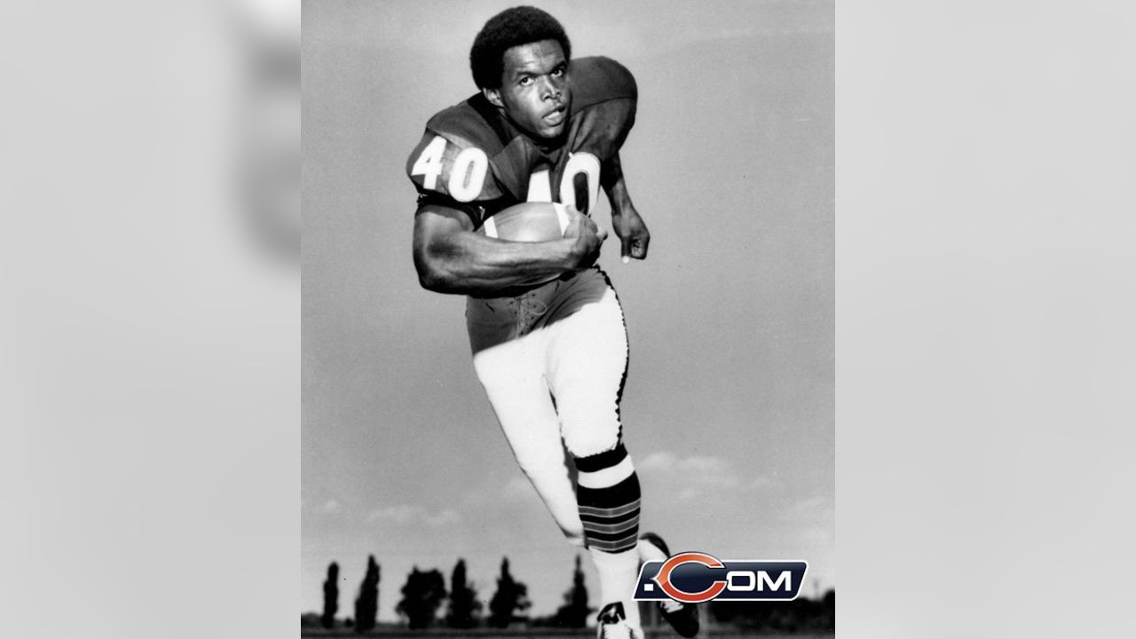 Gale Sayers Chicago Bears Running Back 2520 NFL Football 8x10-48x36 CHOICES