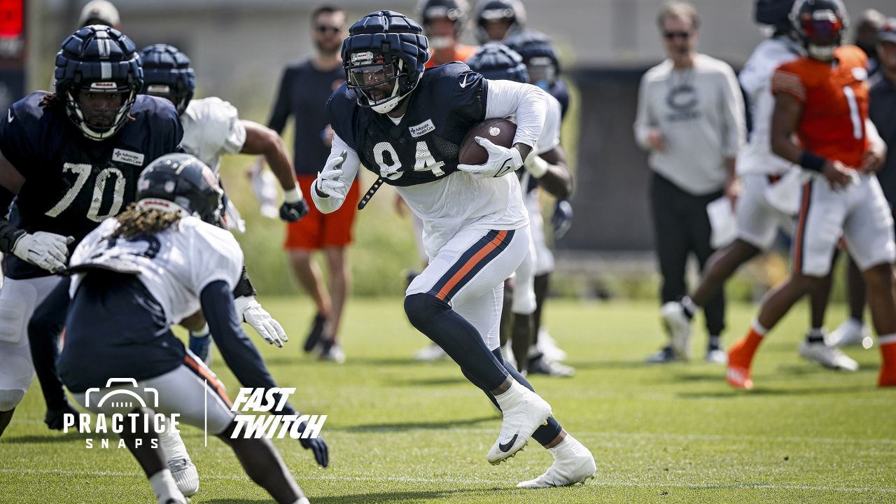 Bears counting on bigger, stronger, faster run defense