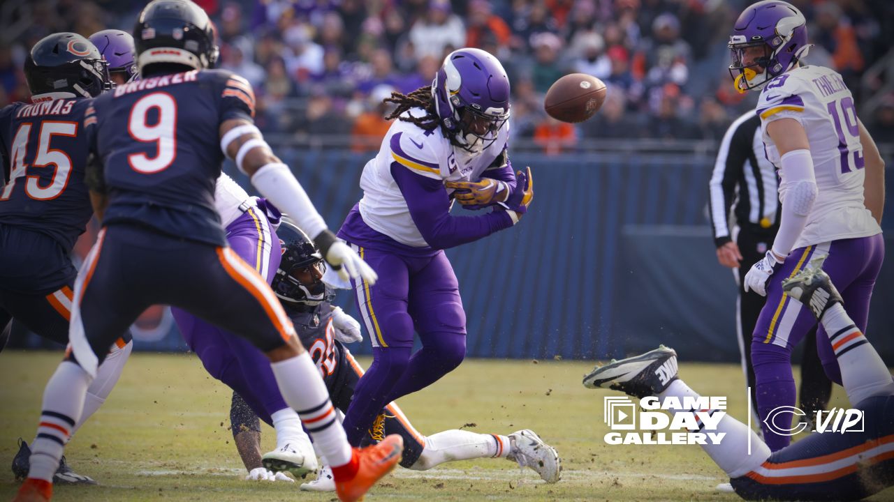 Bears close season with loss to Vikings