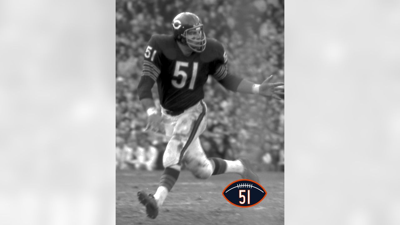 New DICK BUTKUS in Chicago Bears 51 Jersey & Helmet Poster 