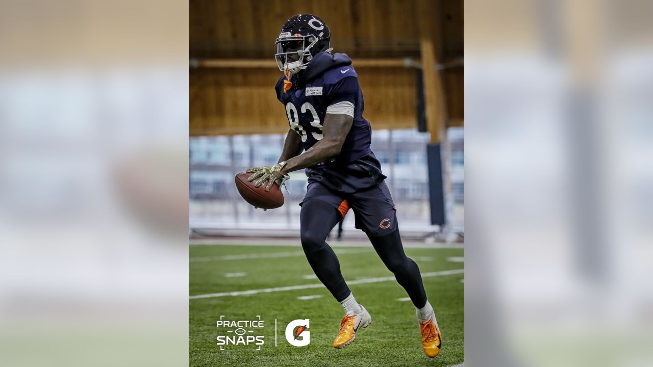 Chicago Bears' Roquan Smith Performs Heartwarming Gesture for Fan Who  Returned His Touchdown Ball - EssentiallySports