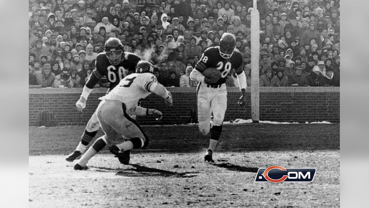 WRIGLEY FIELD CHICAGO BEARS FOOTBALL 8X10 PHOTO