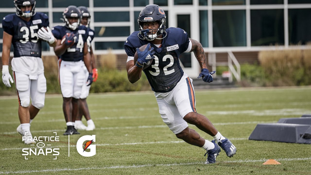 Bears Training Camp Update: Why Dave Wannstedt says joint