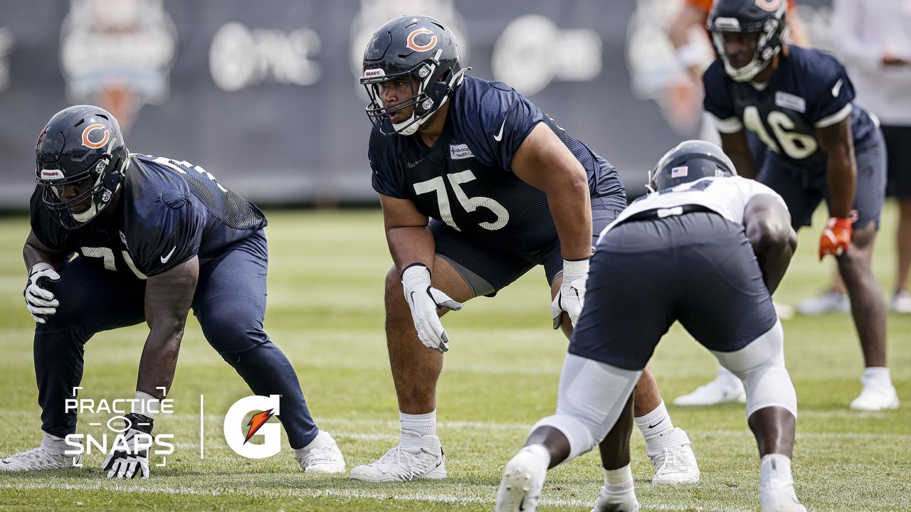 Bears' Goldman misses practice with injury