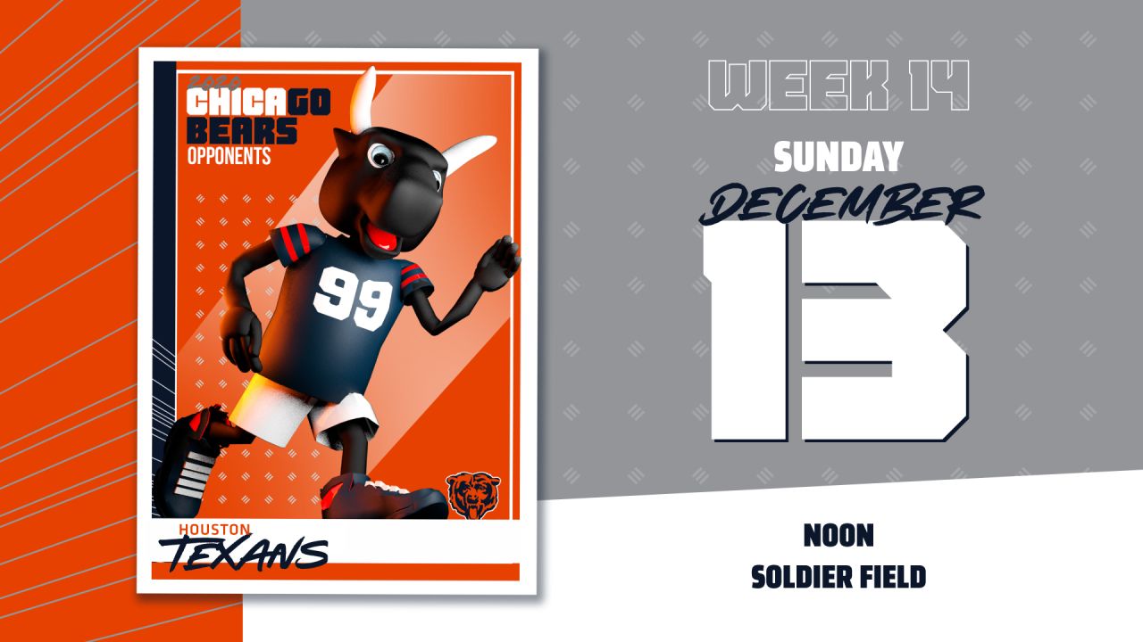 Chicago Bears Soldier Field Poster Bears First Day Game NFL Picture