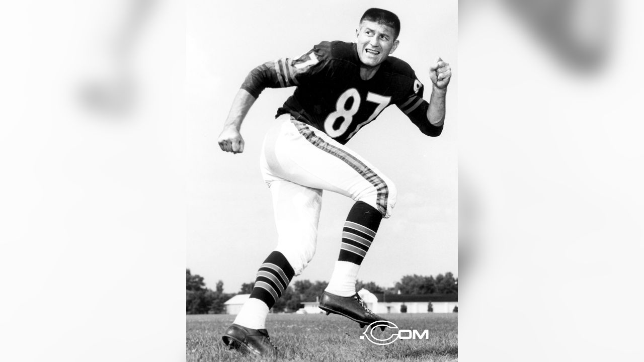 Chicago Bears Football Player Harlon Hill Press Photo