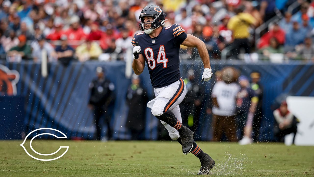 Baltimore signs former Chicago Bears special teams ace - Sports Illustrated Chicago  Bears News, Analysis and More