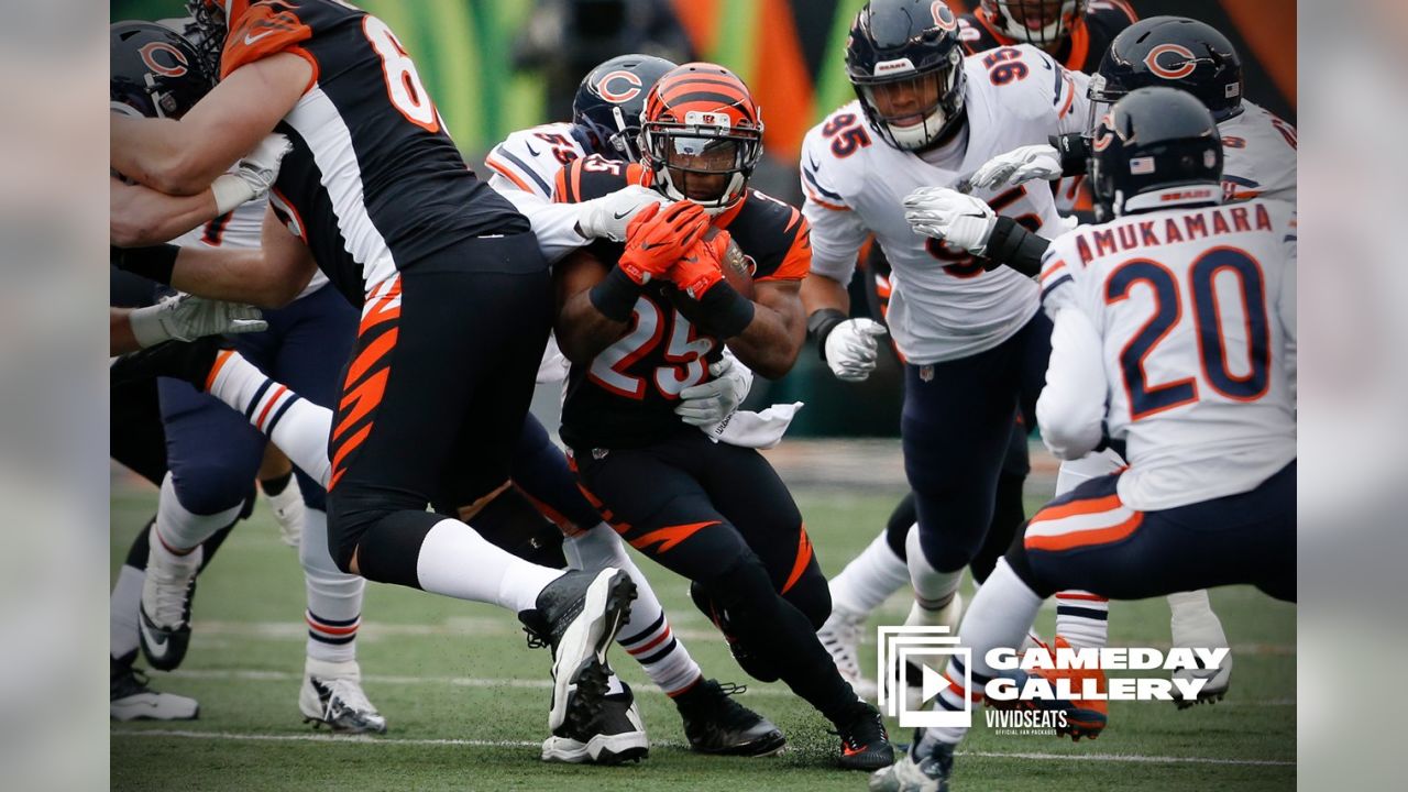 Game Recap: Bears dominate Bengals, win 33-7