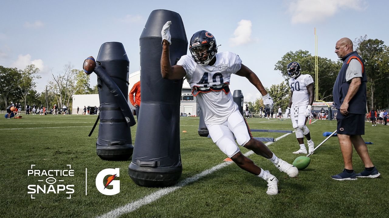 Mack enjoying his first Bears training camp