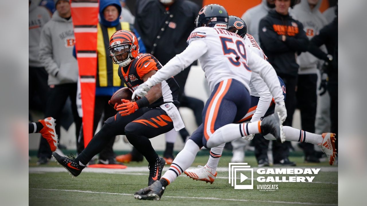 Game Recap: Bears dominate Bengals, win 33-7