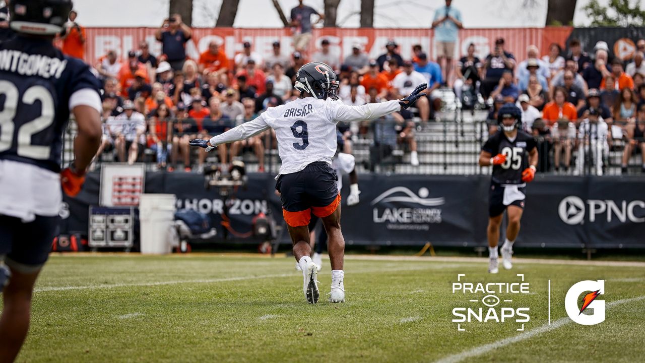 Bears 2022 safeties review: Eddie Jackson, Jaquan Brisker were perfect 1-2  punch - BVM Sports