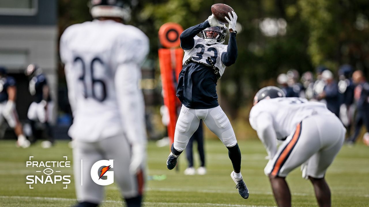 Chicago Bears' Edwards powers up, returns from suspension - Windy City  Gridiron