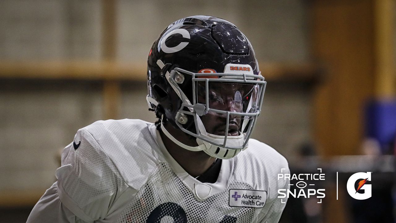 Roquan Smith 'living a dream' and it shows on the field