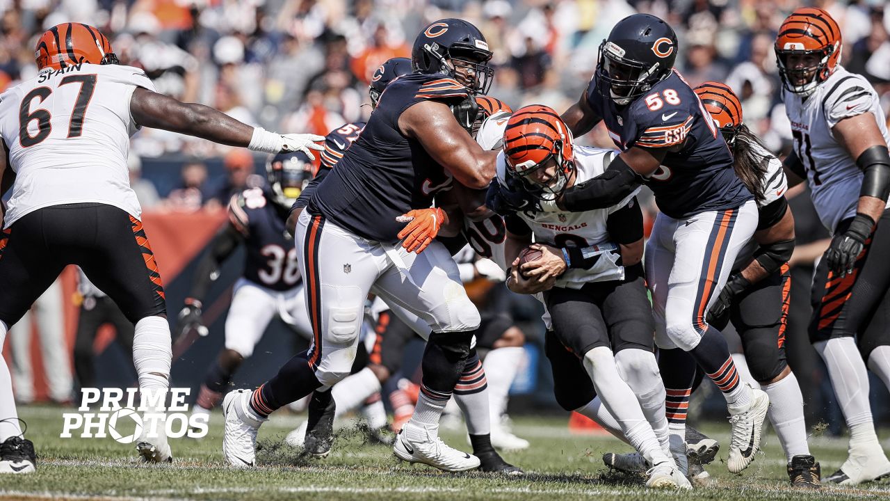 Column: Andy Dalton signing by Chicago Bears unexciting but practical