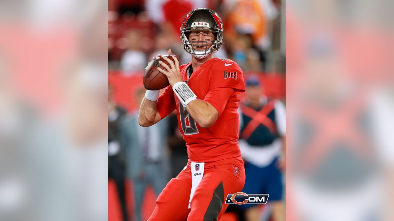 Da Bears Blog  Finding a Quarterback: Mike Glennon and the Art of  Quarterbacking