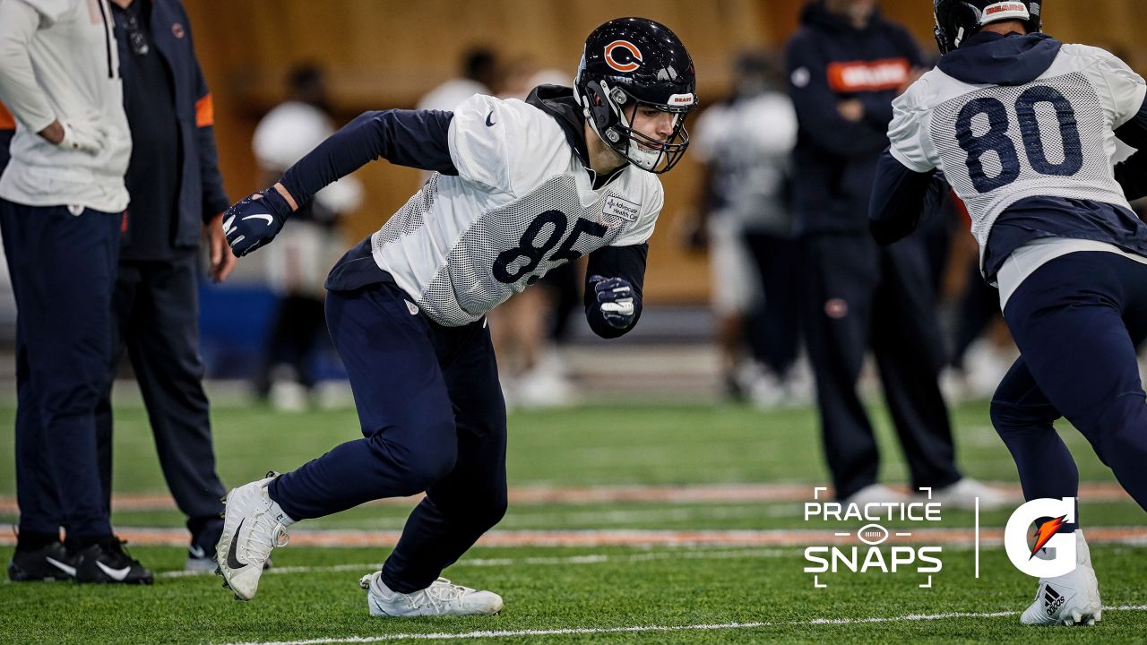 Chicago Bears rookie QB Justin Fields replaces injured Andy Dalton vs.  Cincinnati Bengals - ABC7 Chicago