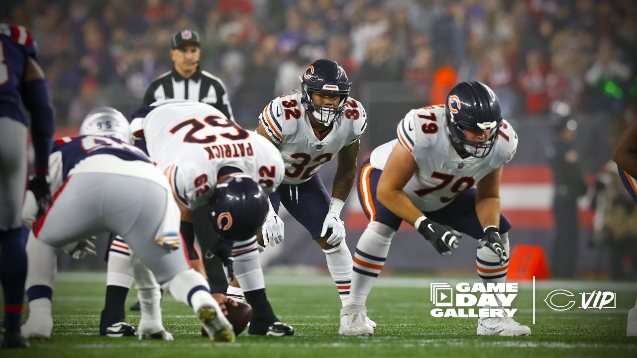 4,121 Bears V Patriots Stock Photos, High-Res Pictures, and Images