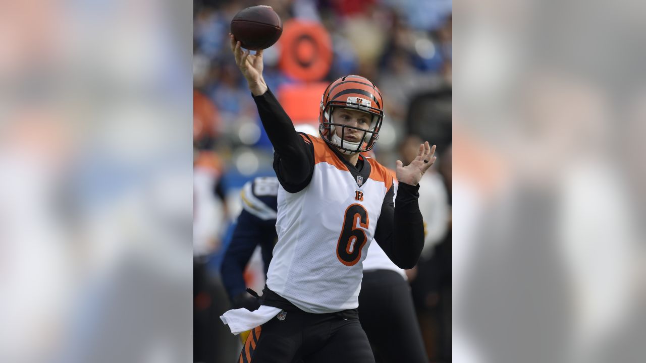 Backup QB Jeff Driskel offers the Bengals a unique opportunity - Cincy  Jungle