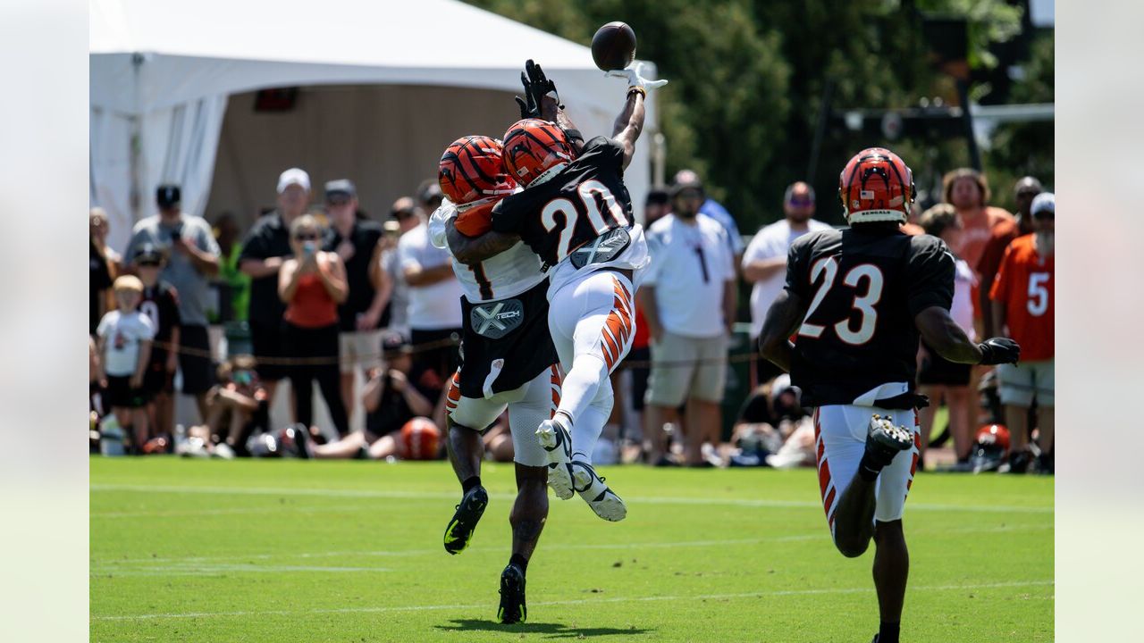 Gallery: Cincinnati Bengals training camp, 8/18