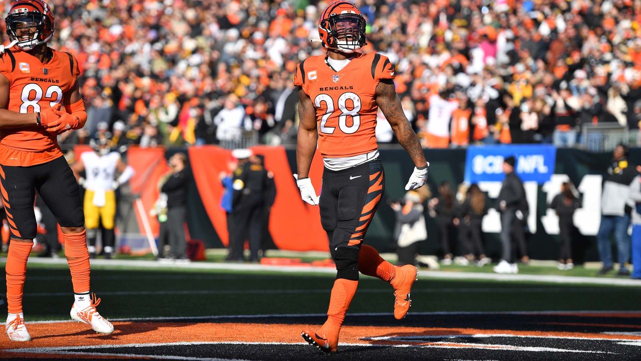 Final Score: Steelers embarrassed by the Bengals 41-10 in Week 12