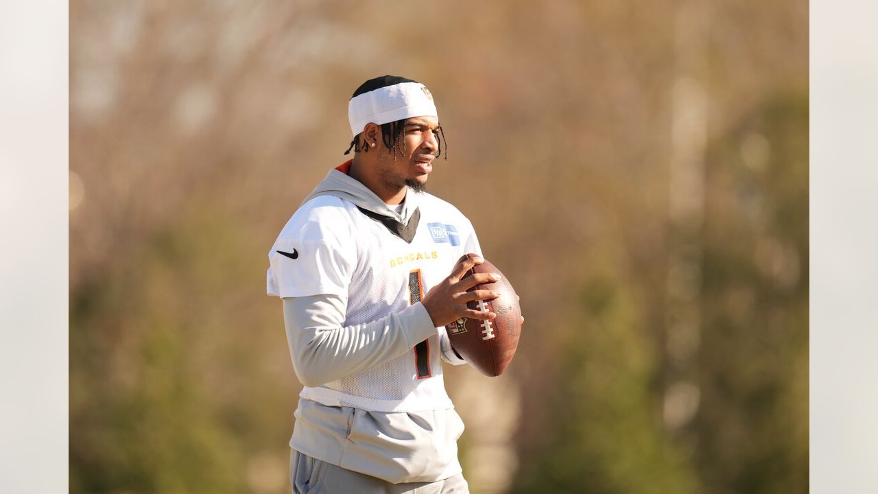 Ja'Marr Chase's hair made waves at Bengals practice