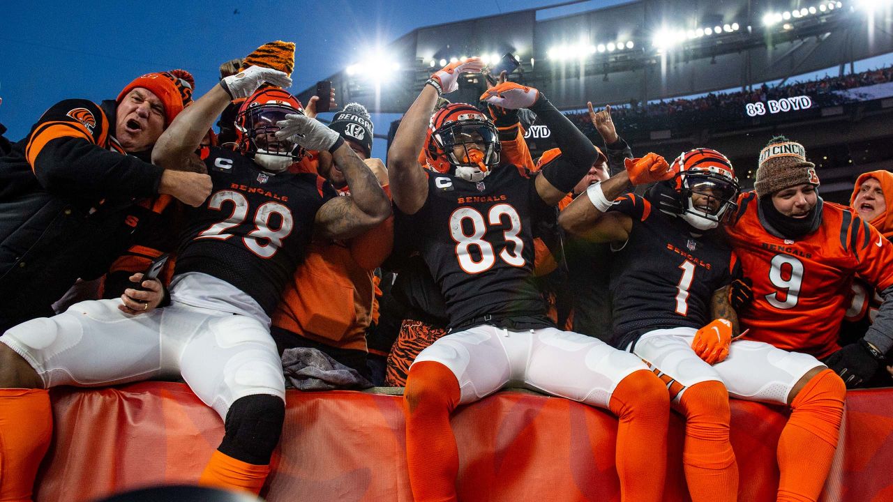 Bengals Best Photos of 2022