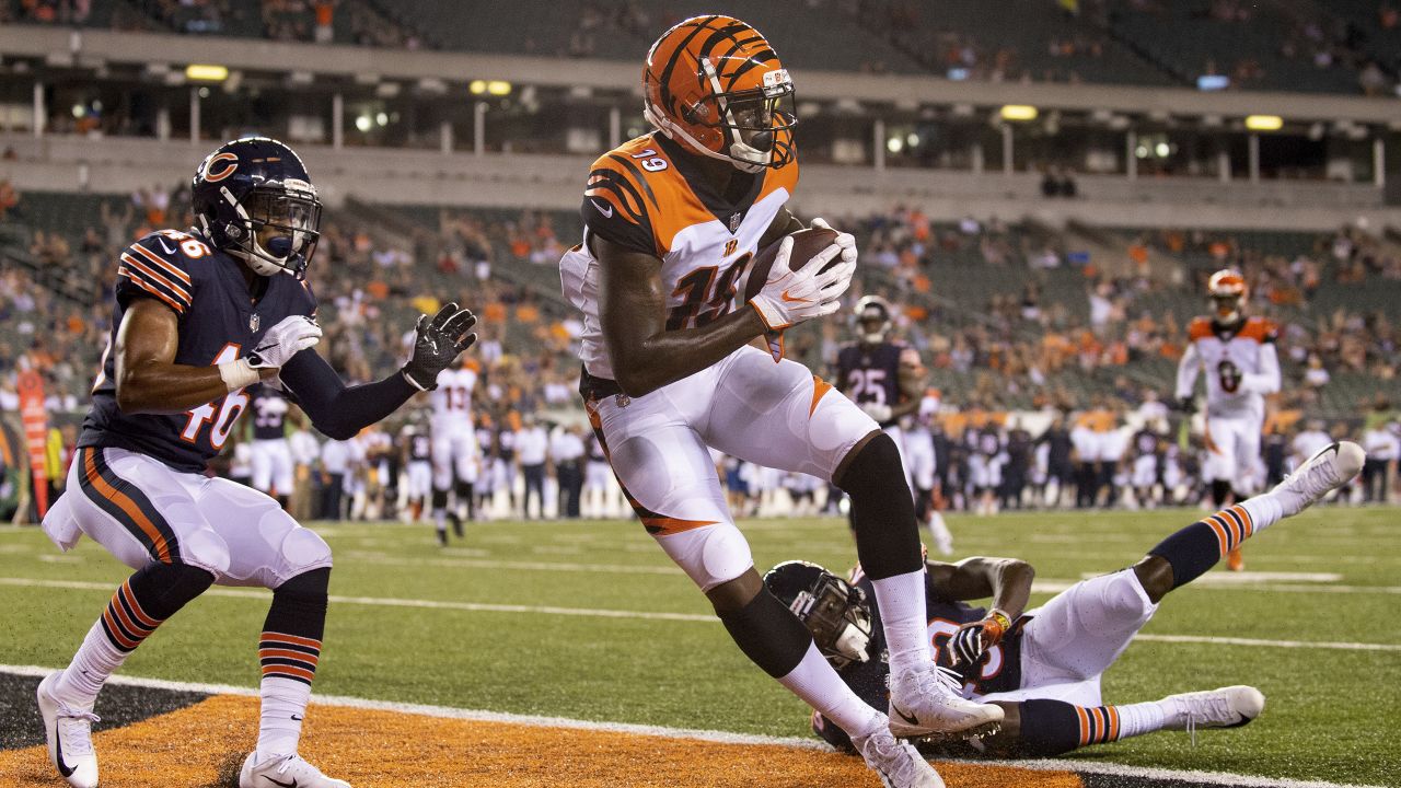 Bengals open preseason with 19-14 win over Bucs - Cincy Jungle