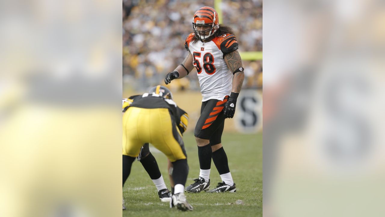 Rey Maualuga Released by Bengals After 8 Seasons with Team