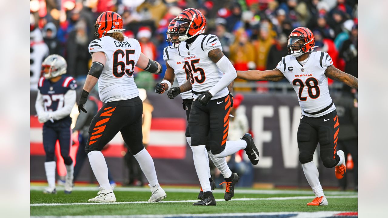 Photos: Bengals Beat the Patriots, 22-18