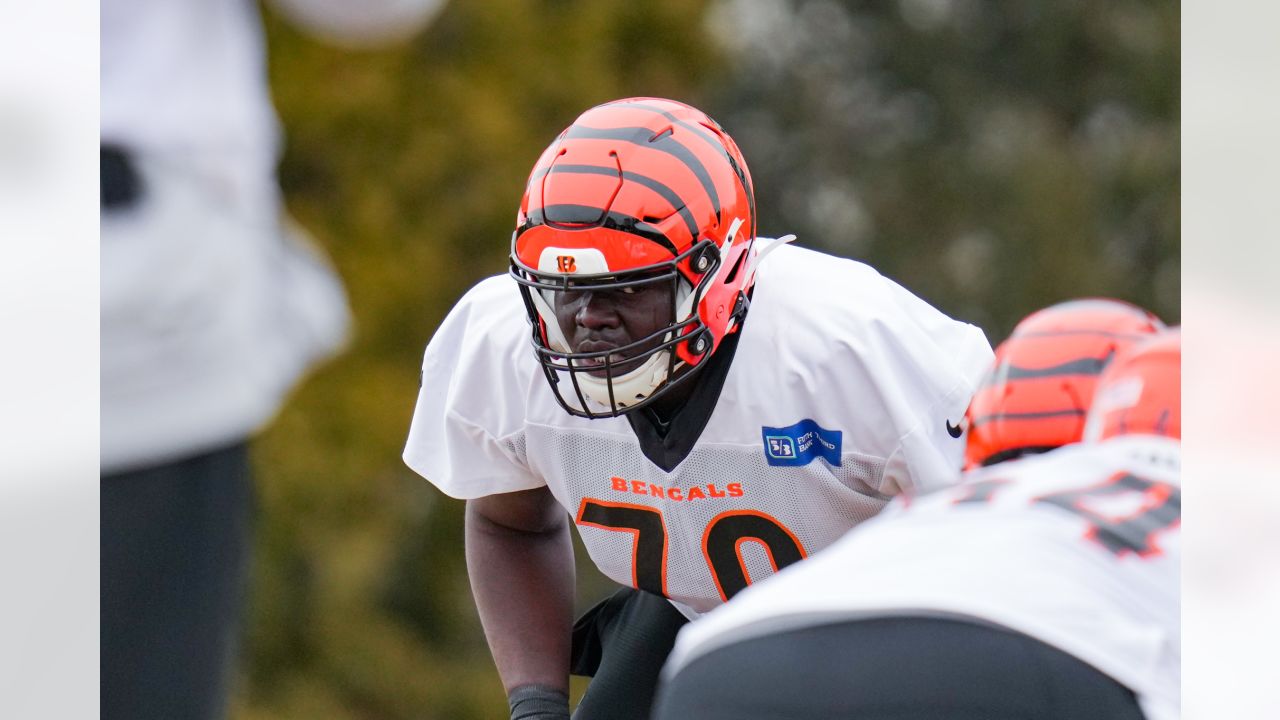 Bengals News (2/21): Akeem Davis-Gaither could step into a big role - Cincy  Jungle