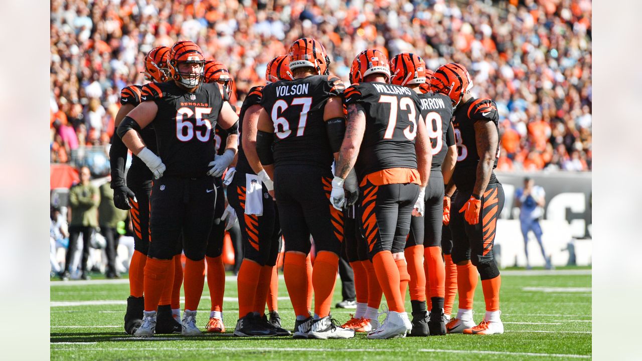 Photos: Carolina Panthers at Cincinnati Bengals, 11/6