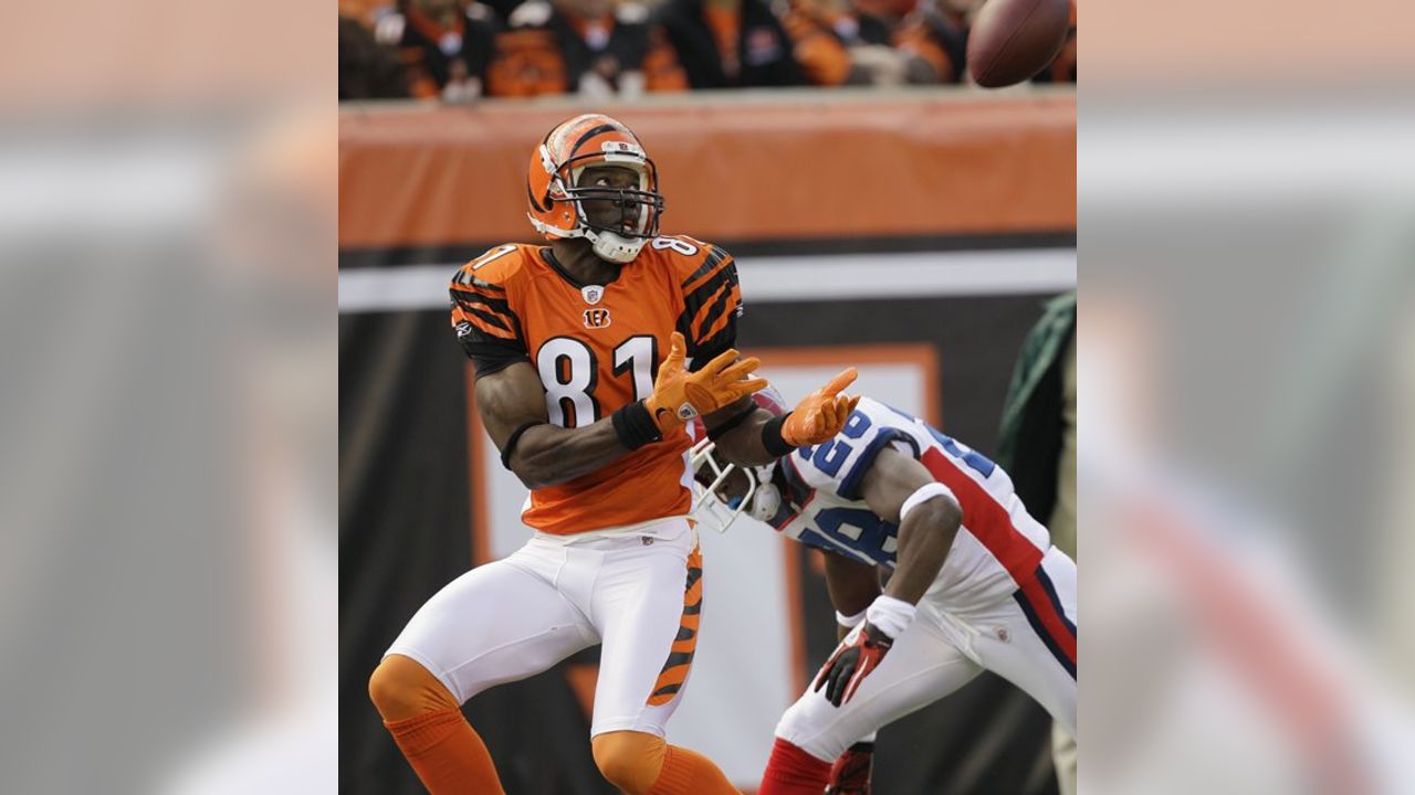 377 Cincinnati Bengals Terrell Owens Photos & High Res Pictures